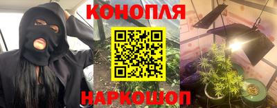 ГАЛЛЮЦИНОГЕННЫЕ ГРИБЫ Кингисепп