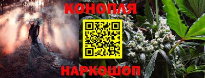 мет Кимры