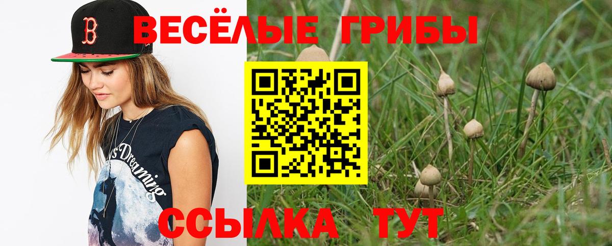 Галлюциногенные грибы Psilocybe Кумертау
